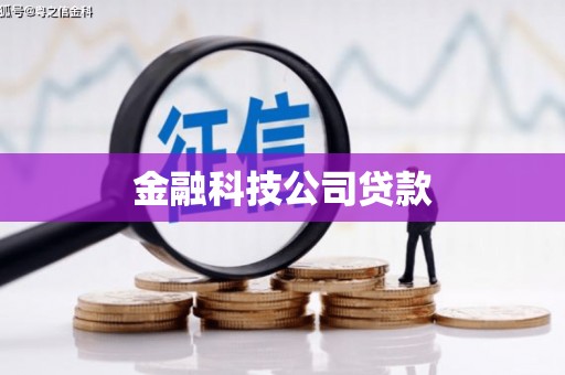 阳朔金融科技公司贷款