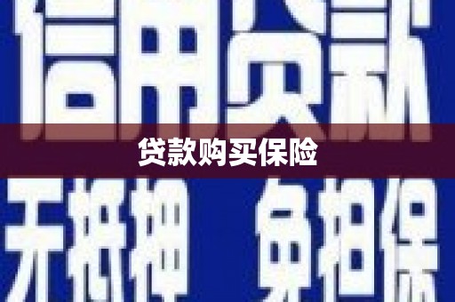 阳朔贷款购买保险