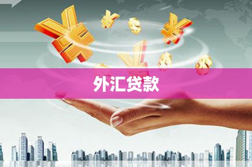 阳朔外汇贷款