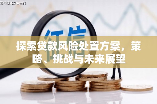 阳朔探索贷款风险处置方案，策略、挑战与未来展望