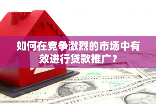 阳朔如何在竞争激烈的市场中有效进行贷款推广？