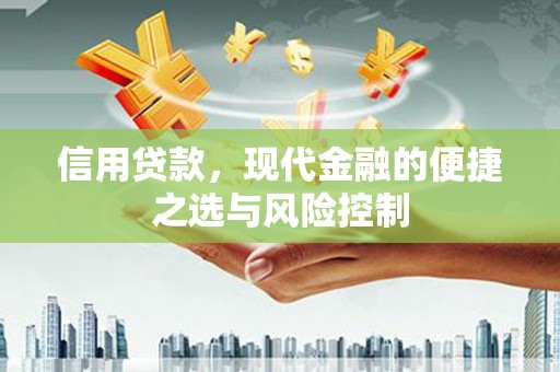 阳朔信用贷款，现代金融的便捷之选与风险控制
