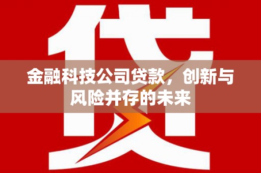 阳朔金融科技公司贷款，创新与风险并存的未来