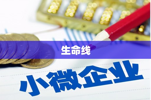 阳朔生命线