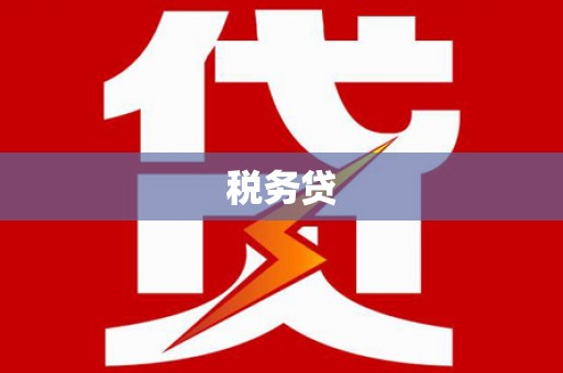 阳朔税务贷