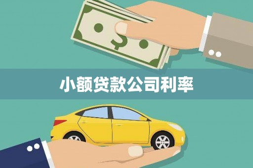 阳朔小额贷款公司利率