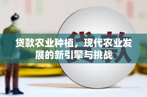 阳朔贷款农业种植，现代农业发展的新引擎与挑战