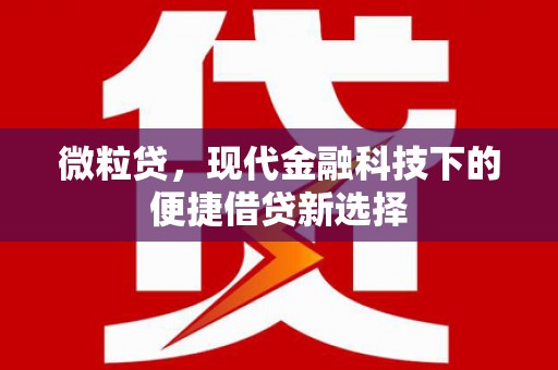 阳朔微粒贷，现代金融科技下的便捷借贷新选择