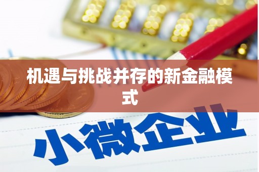 阳朔机遇与挑战并存的新金融模式