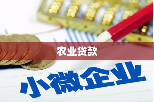 阳朔农业贷款