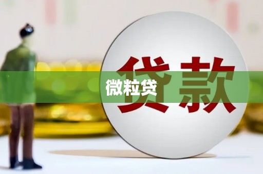 阳朔微粒贷