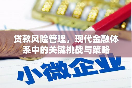 阳朔贷款风险管理，现代金融体系中的关键挑战与策略