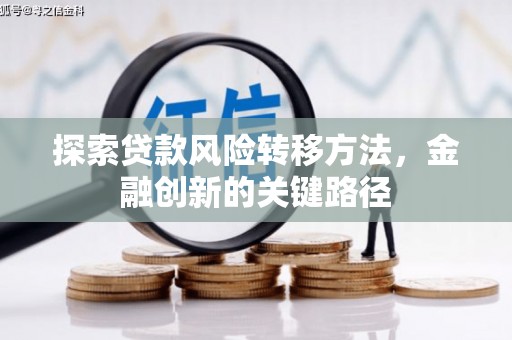 阳朔探索贷款风险转移方法，金融创新的关键路径