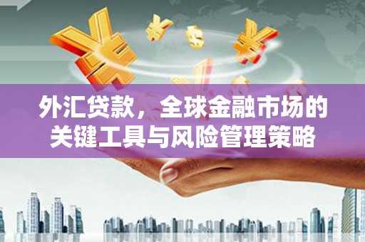 阳朔外汇贷款，全球金融市场的关键工具与风险管理策略