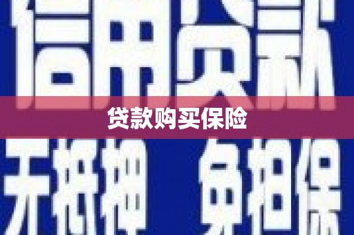阳朔贷款购买保险