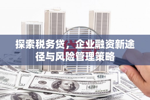阳朔探索税务贷，企业融资新途径与风险管理策略
