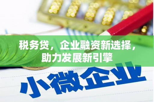 阳朔税务贷，企业融资新选择，助力发展新引擎