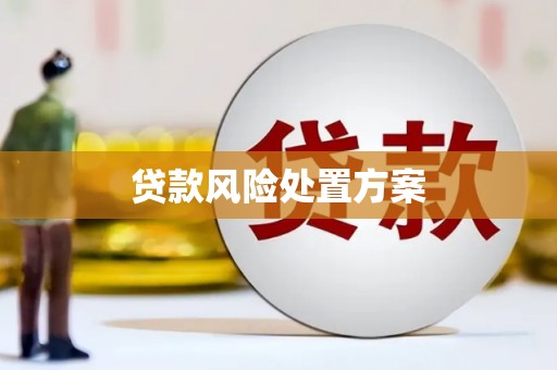 阳朔贷款风险处置方案