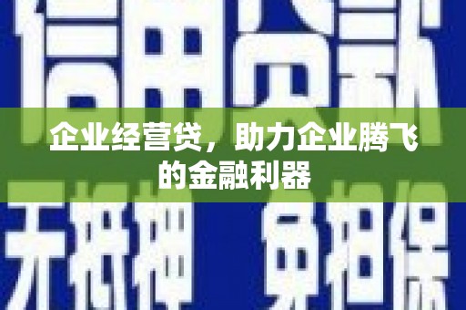 阳朔企业经营贷，助力企业腾飞的金融利器