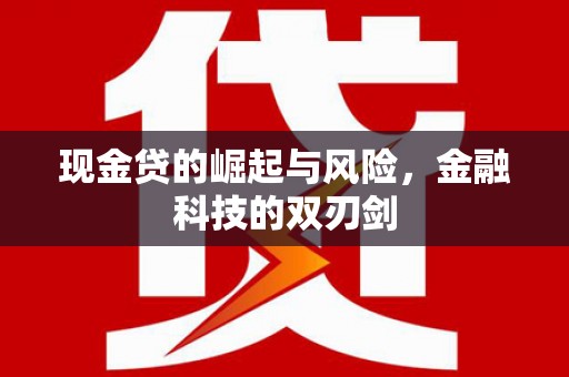 阳朔现金贷的崛起与风险，金融科技的双刃剑