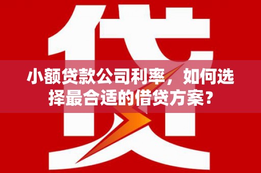 阳朔小额贷款公司利率，如何选择最合适的借贷方案？