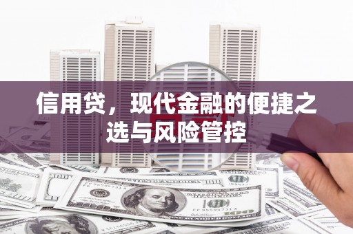 阳朔信用贷，现代金融的便捷之选与风险管控
