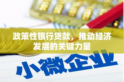 阳朔政策性银行贷款，推动经济发展的关键力量