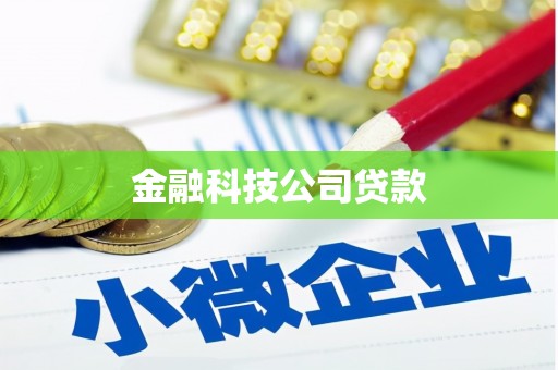 阳朔金融科技公司贷款