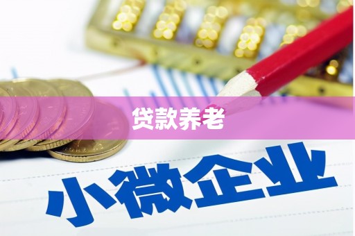 阳朔贷款养老