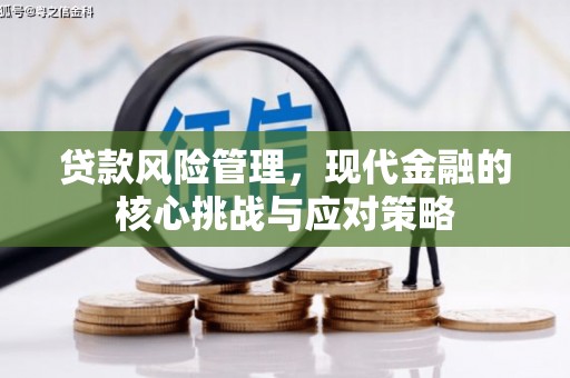 阳朔贷款风险管理，现代金融的核心挑战与应对策略