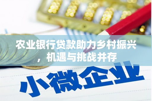 阳朔农业银行贷款助力乡村振兴，机遇与挑战并存