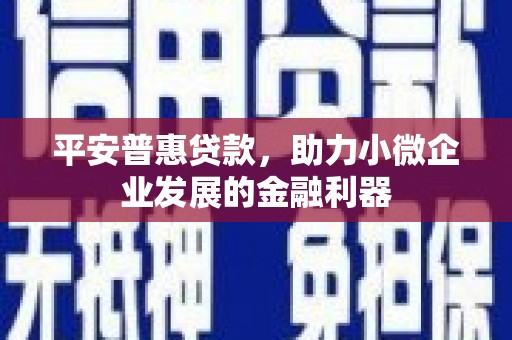 阳朔平安普惠贷款，助力小微企业发展的金融利器