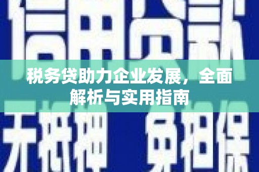 阳朔税务贷助力企业发展，全面解析与实用指南