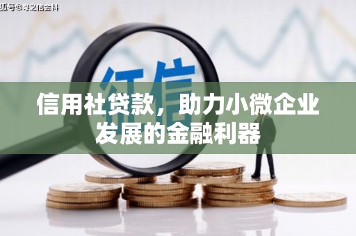 阳朔信用社贷款，助力小微企业发展的金融利器