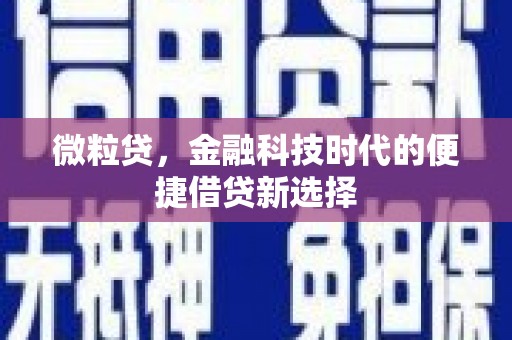 阳朔微粒贷，金融科技时代的便捷借贷新选择