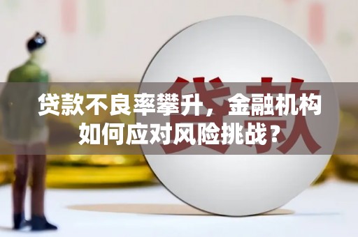 阳朔贷款不良率攀升，金融机构如何应对风险挑战？