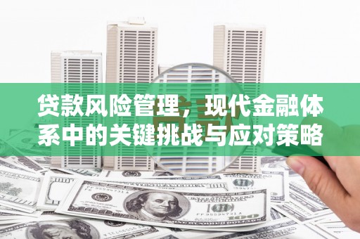 阳朔贷款风险管理，现代金融体系中的关键挑战与应对策略
