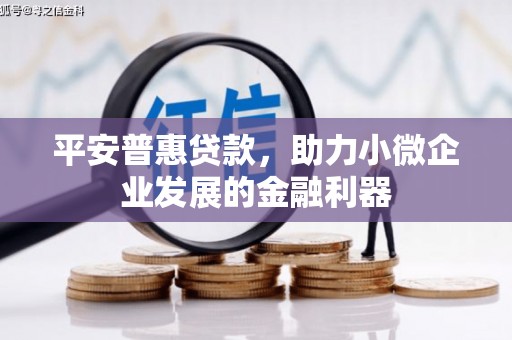 阳朔平安普惠贷款，助力小微企业发展的金融利器