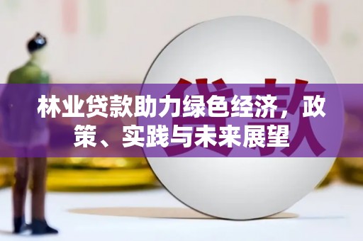 阳朔林业贷款助力绿色经济，政策、实践与未来展望