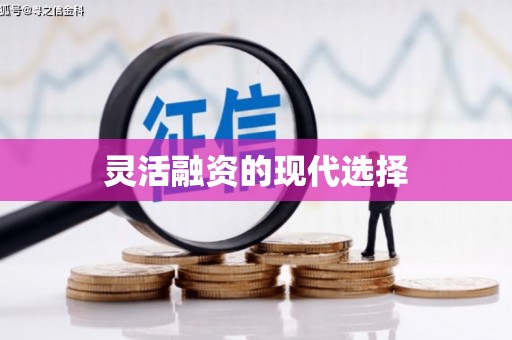 阳朔灵活融资的现代选择