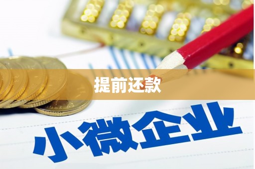 阳朔提前还款