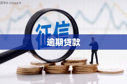 阳朔逾期贷款